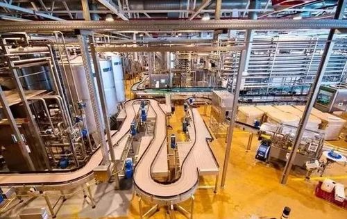 電子廠流水線與技術研發 速度的悖論與創新的基石